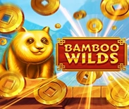 Bamboo Wilds